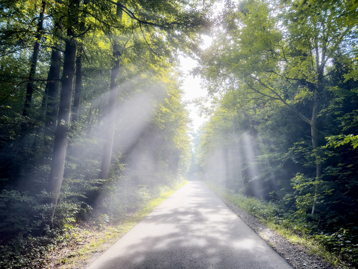 I started walking for my back. I kept walking for everything else.